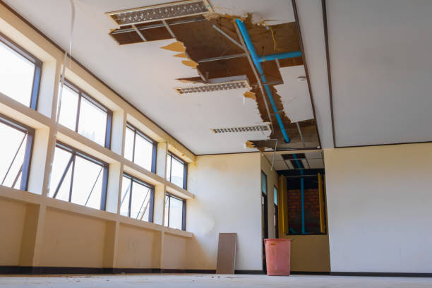 Best Water damage contractors near me  in Midland City, AL