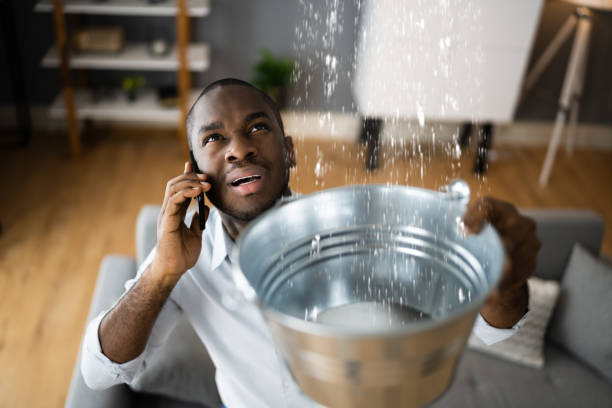 Best Water damage restoration services  in Midland City, AL