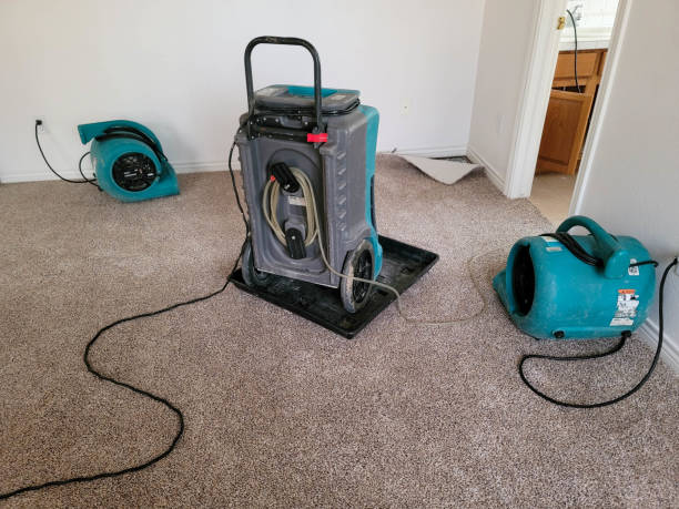 Best Mold removal after water damage  in Midland City, AL