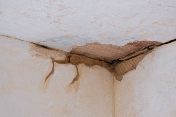 Best Flooded house restoration  in Midland City, AL