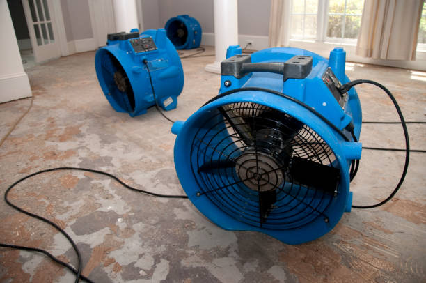 Best Water damage contractors near me  in Midland City, AL