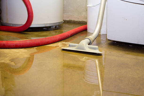 Best Carpet water damage restoration  in Midland City, AL