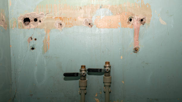 Best Water damage restoration specialists  in Midland City, AL